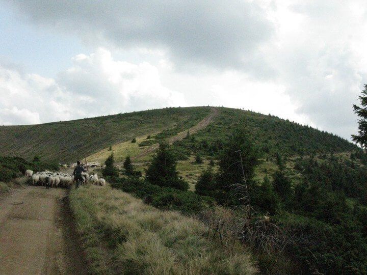 Ekspedīcija uz Karpatiem