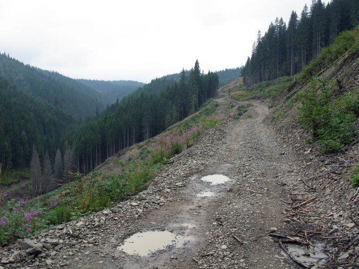 Ekspedīcija uz Karpatiem