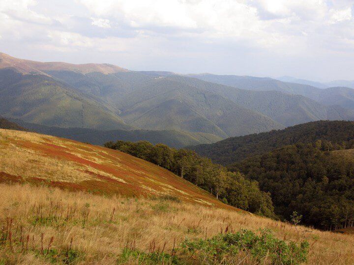 Ekspedīcija uz Karpatiem