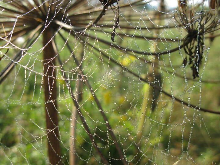 Ekspedīcija uz Karpatiem