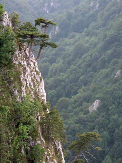 Ekspedīcija uz Serbiju