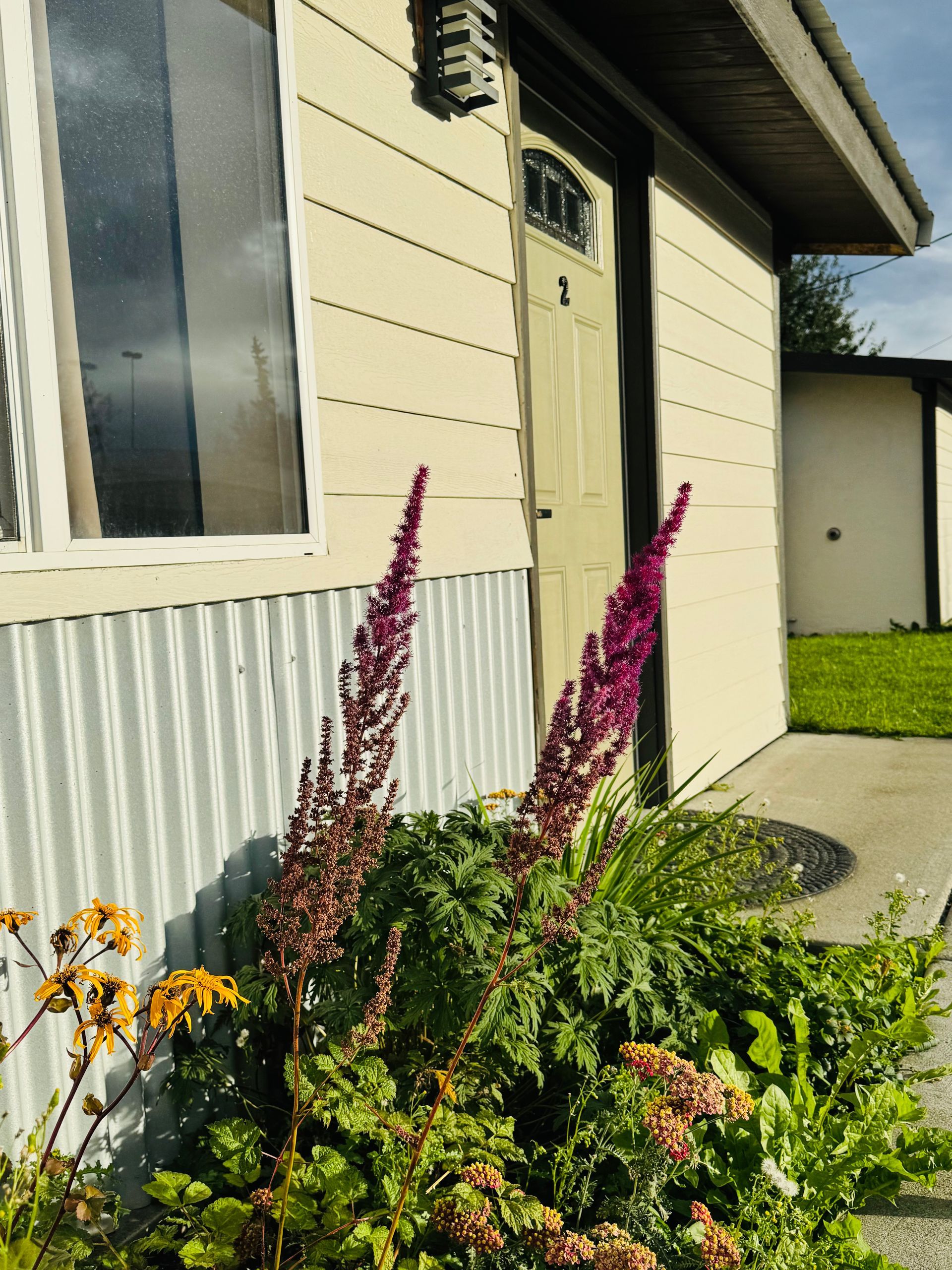 Purple and yellow flowers in front of a building with a window and door.
