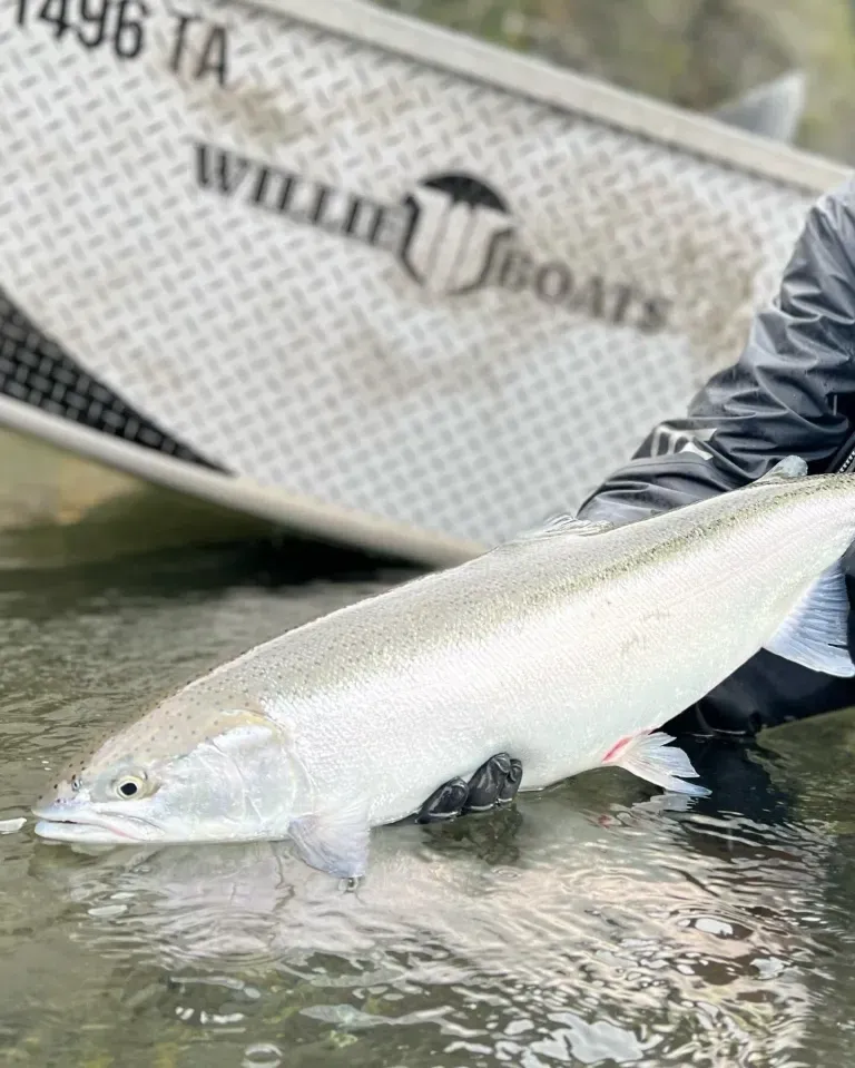 A person is holding a large fish in their hands in front of a boat.