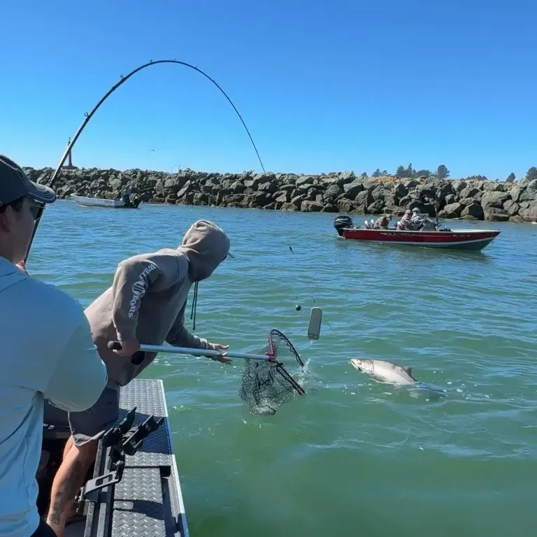 A man is fishing in the water with a boat in the background