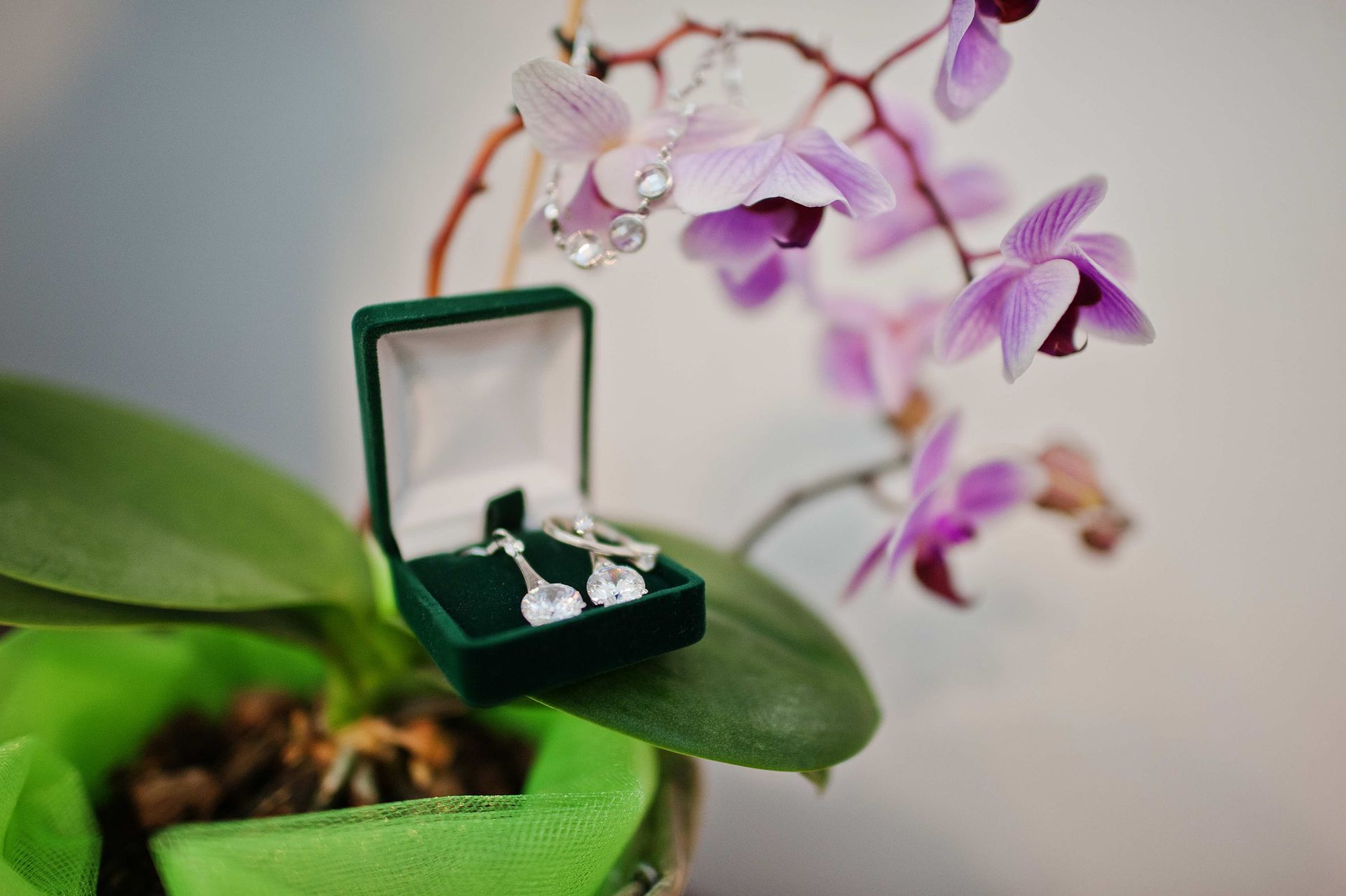 A pair of earrings in a green box next to a purple flower.