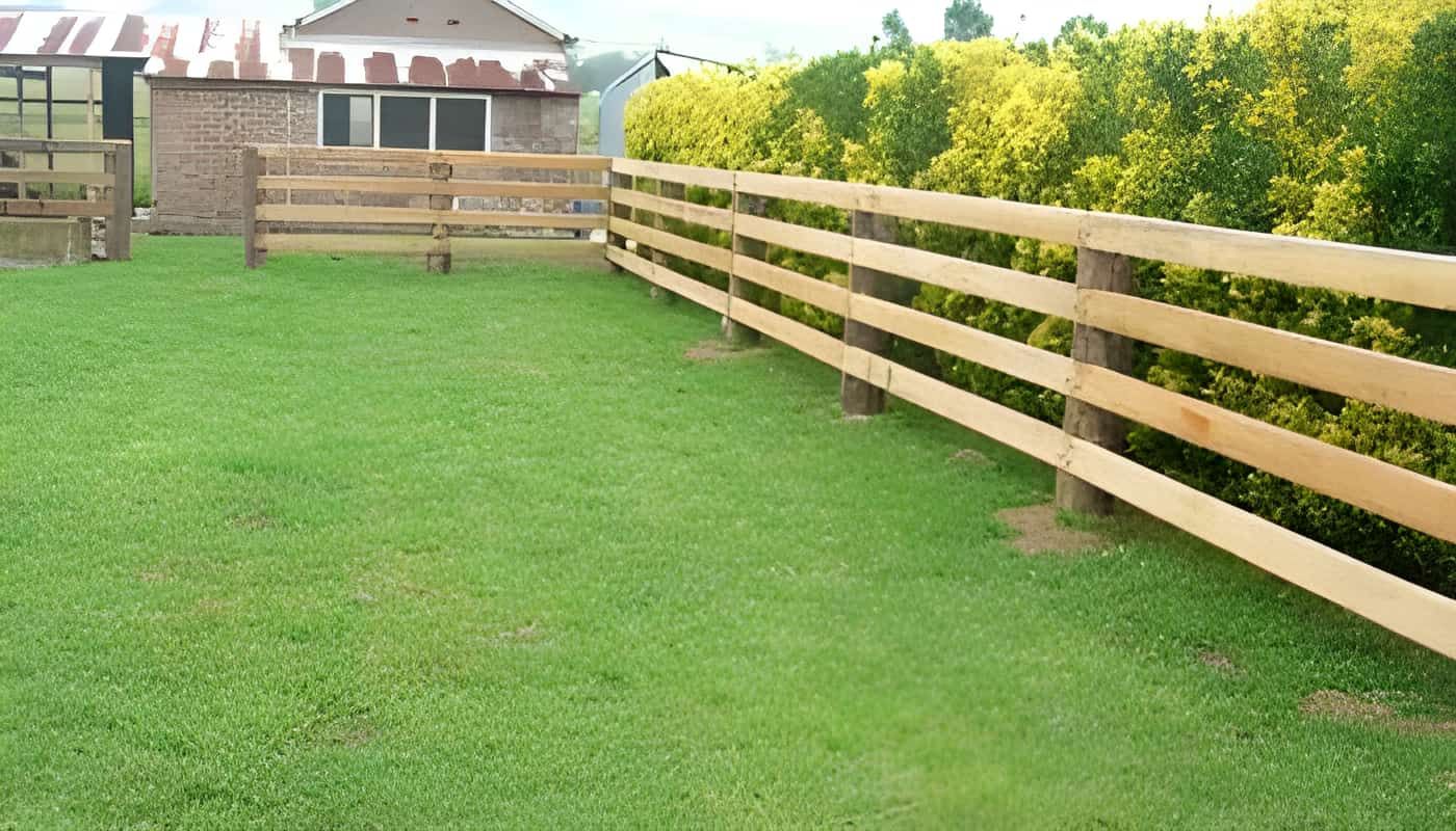 A Wooden Fence Surrounds a Lush Green Field — Osborne Fencing in Bundanoon, NSW