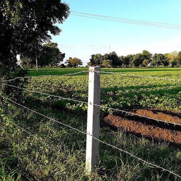 A Barbed Wire Fence Surrounds a Field — Osborne Fencing in Mittagong, NSW