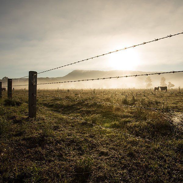 A Barbed Wire Fence On Misty Morning — Osborne Fencing in Mittagong, NSW