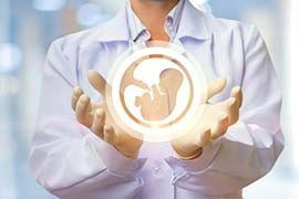 a doctor is holding a picture of an embryo in his hands .