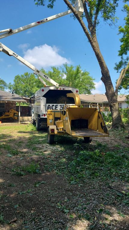 A tree chipper is cutting down a tree in a yard.