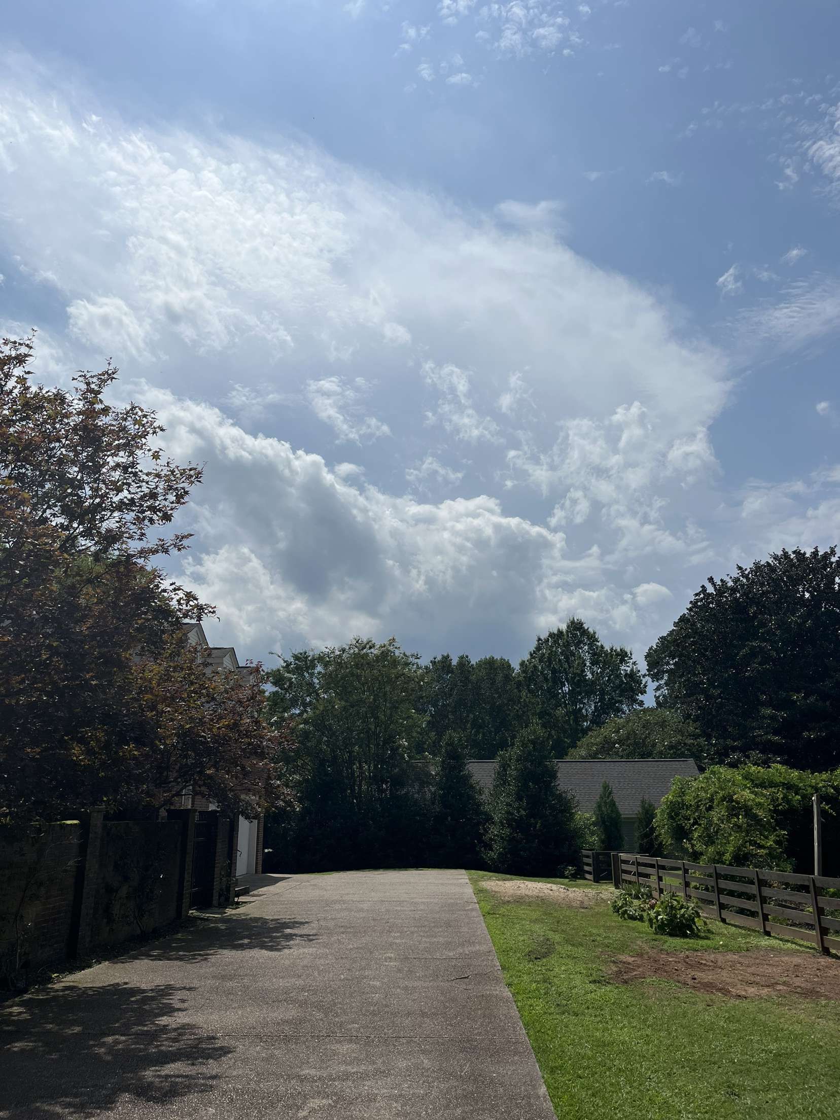 A dirt road leading to a house with trees on both sides and a cloudy sky in the background.