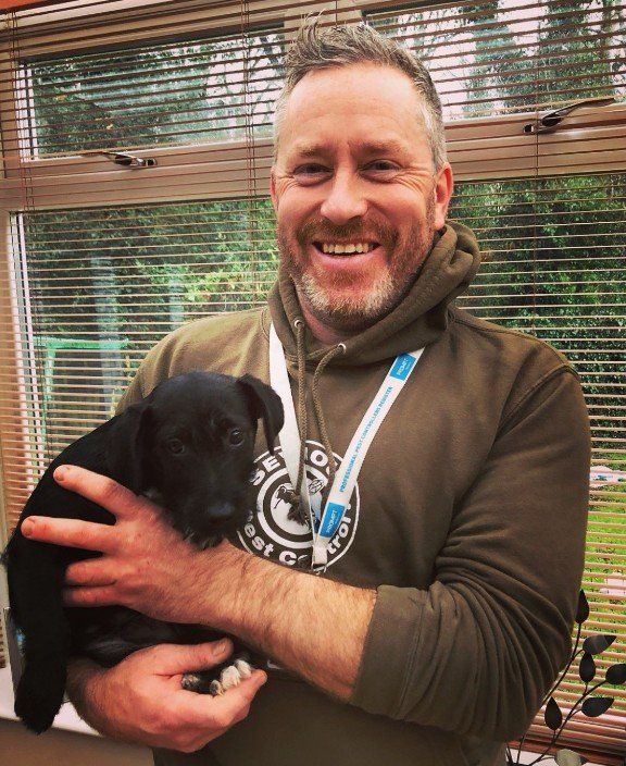 Seymour pest control, pest control rye, pest control tenterden, mark seymour,seymour pest control