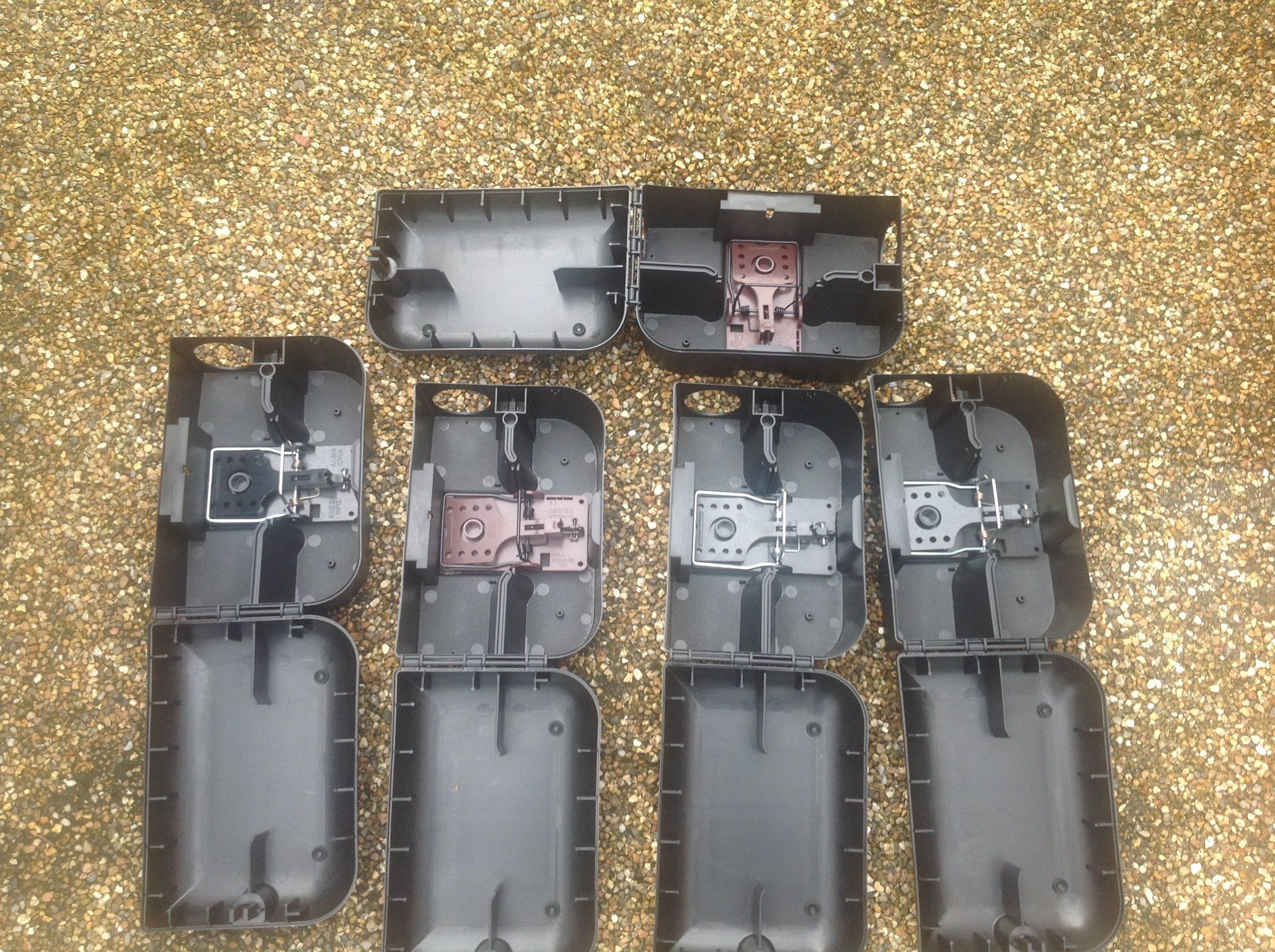 Seymour pest control, pest control rye, pest control tenterden, mark seymour,seymour pest control