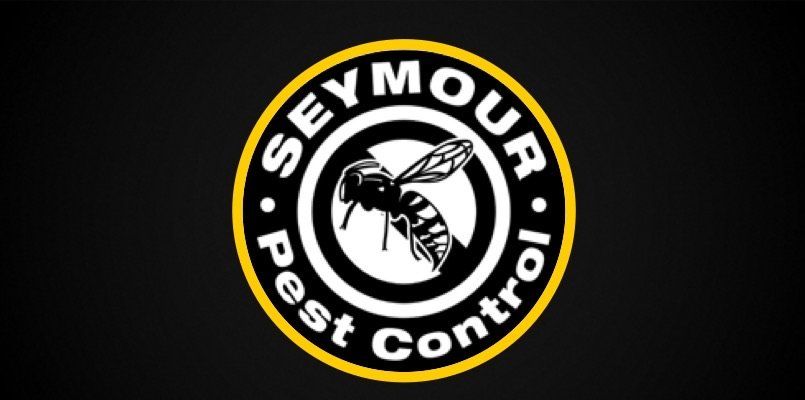 Seymour pest control, pest control rye, pest control tenterden, mark seymour,seymour pest control