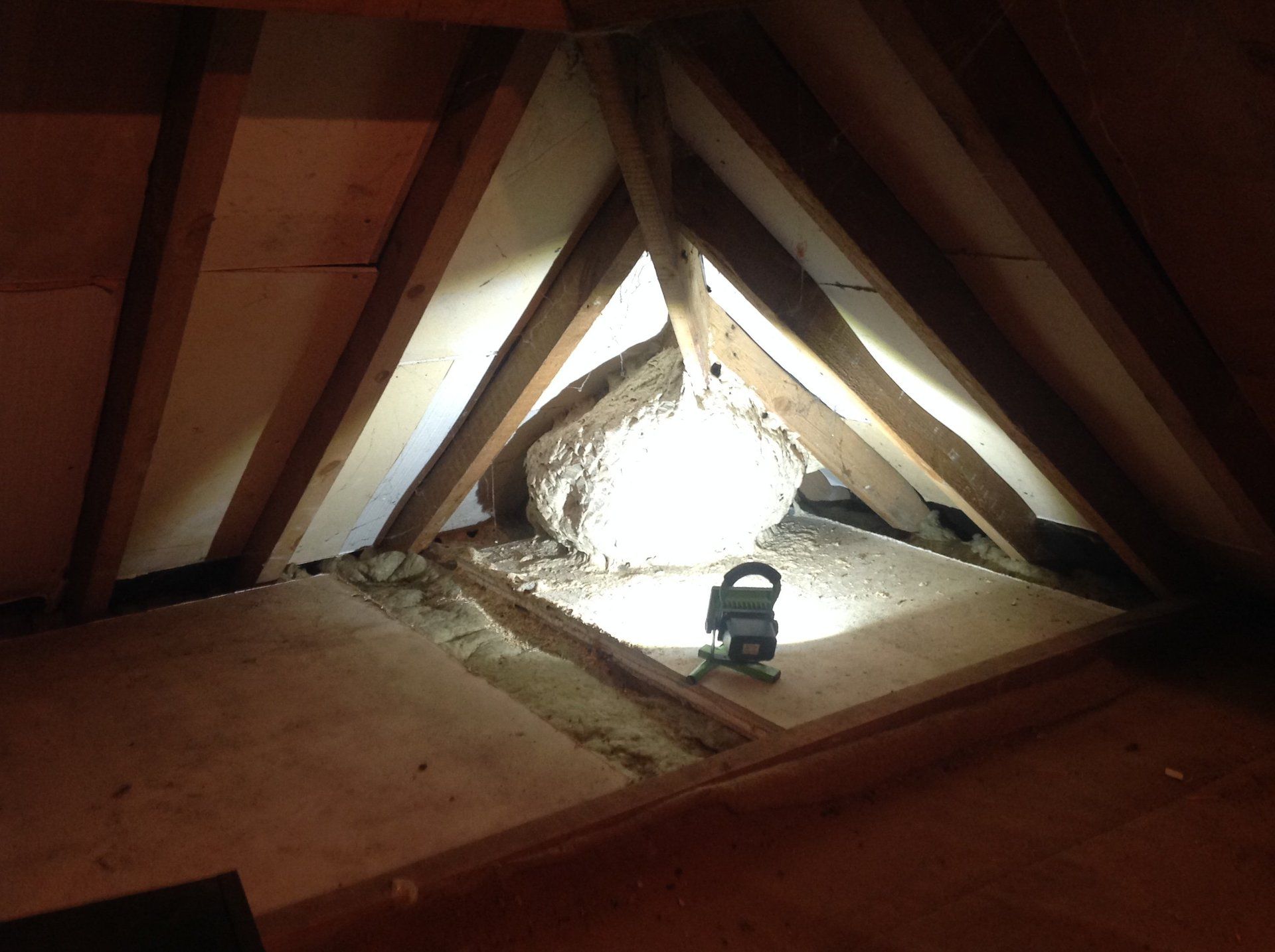 Seymour pest control, pest control rye, pest control tenterden, mark seymour,seymour pest control