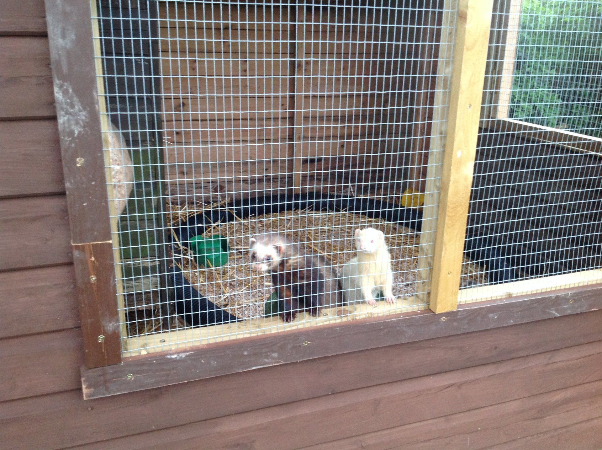 Seymour pest control, pest control rye, pest control tenterden, mark seymour,seymour pest control