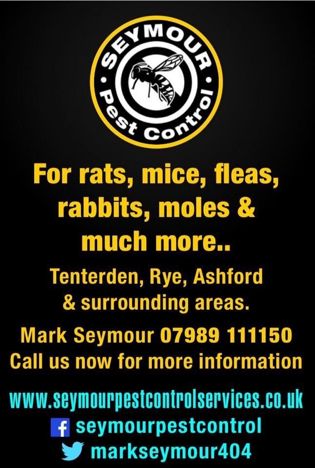 Seymour pest control, pest control rye, pest control tenterden, mark seymour,seymour pest control