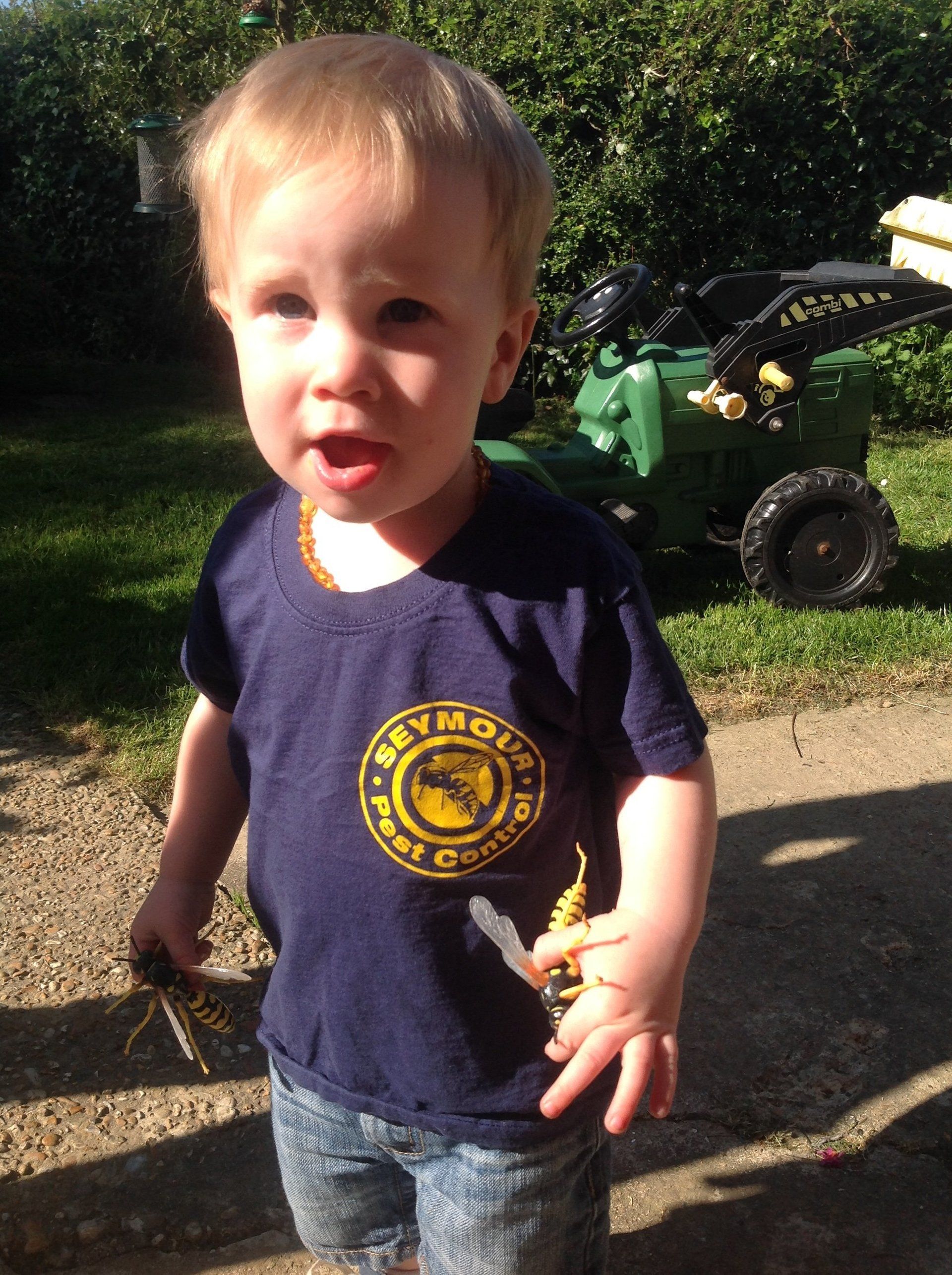 Seymour pest control, pest control rye, pest control tenterden, mark seymour,seymour pest control