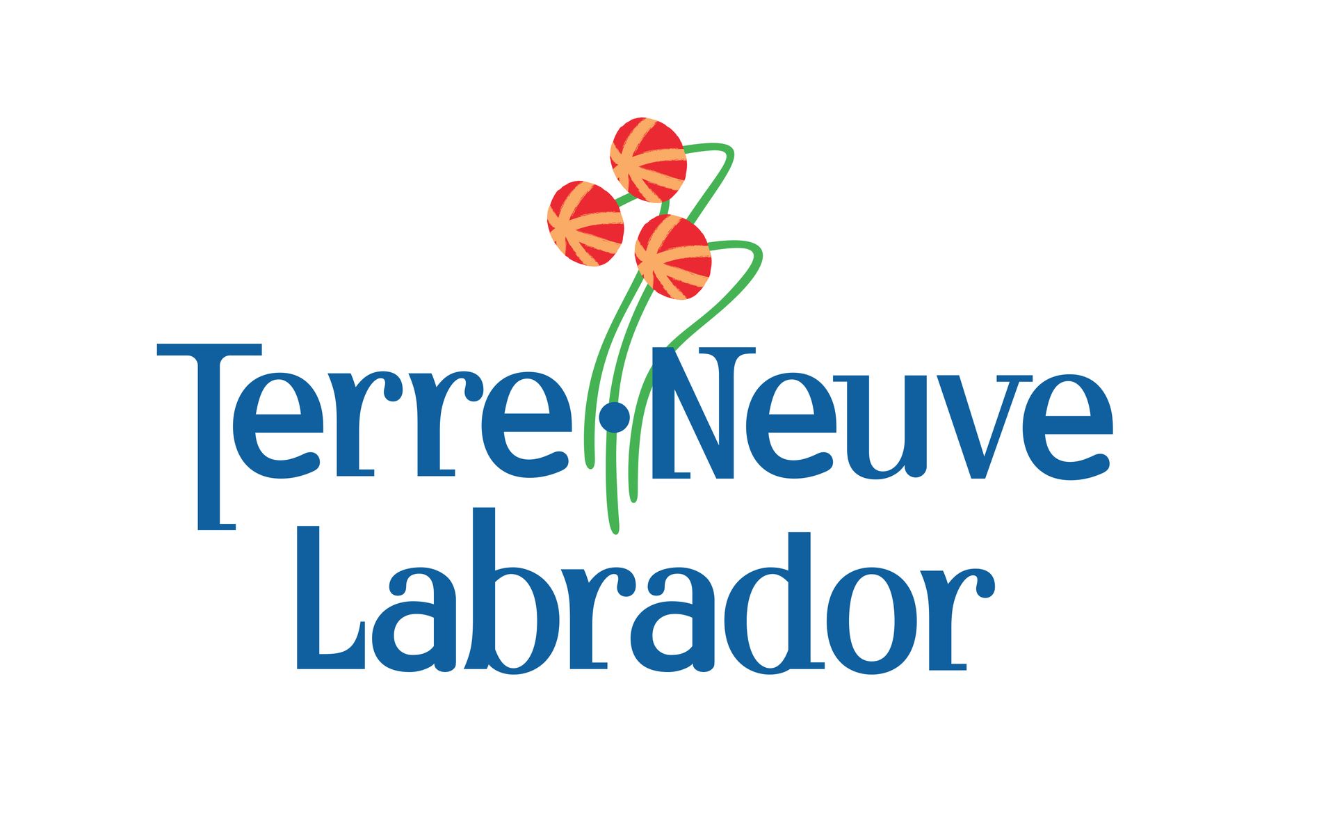 Offre d'emploi