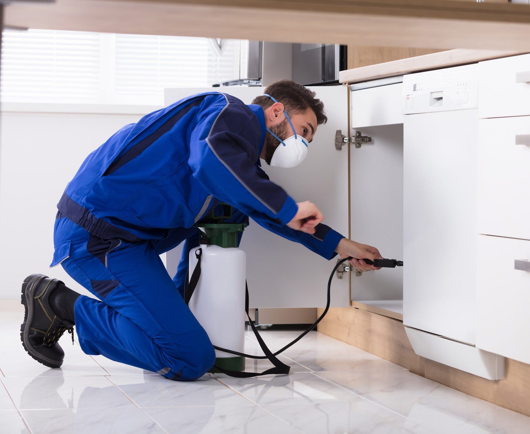 residential pest control