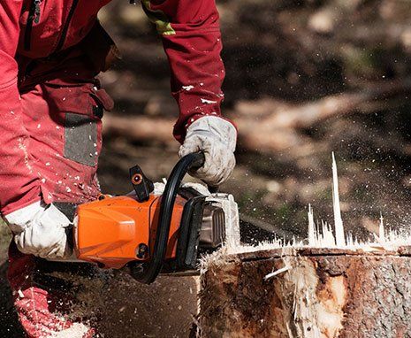 Man Removing Tree Stump — Hastings, MN — Rivertown Tree Service