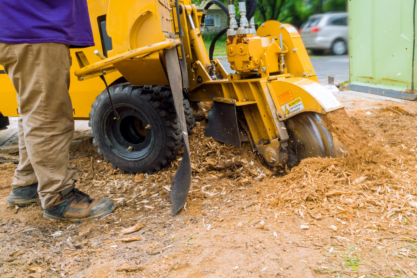 Pickup Cut Tree Branches — Hastings, MN — Rivertown Tree Service