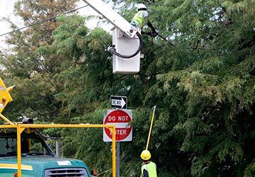 Municipal Tree Trimming Service — Hastings, MN — Rivertown Tree Service