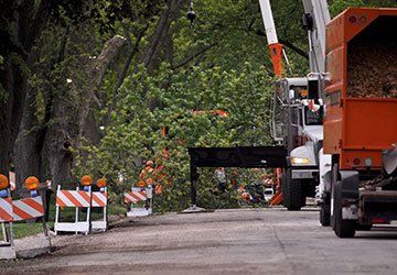 Commercial Tree Trimming Service — Hastings, MN — Rivertown Tree Service