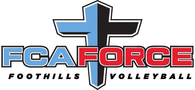 Force Volleyball Academy
