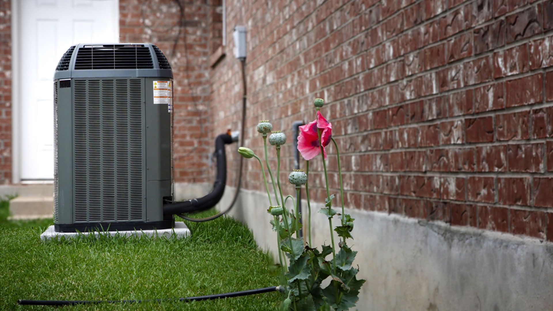 An air conditioner is sitting on the side of a brick building next to a flower.