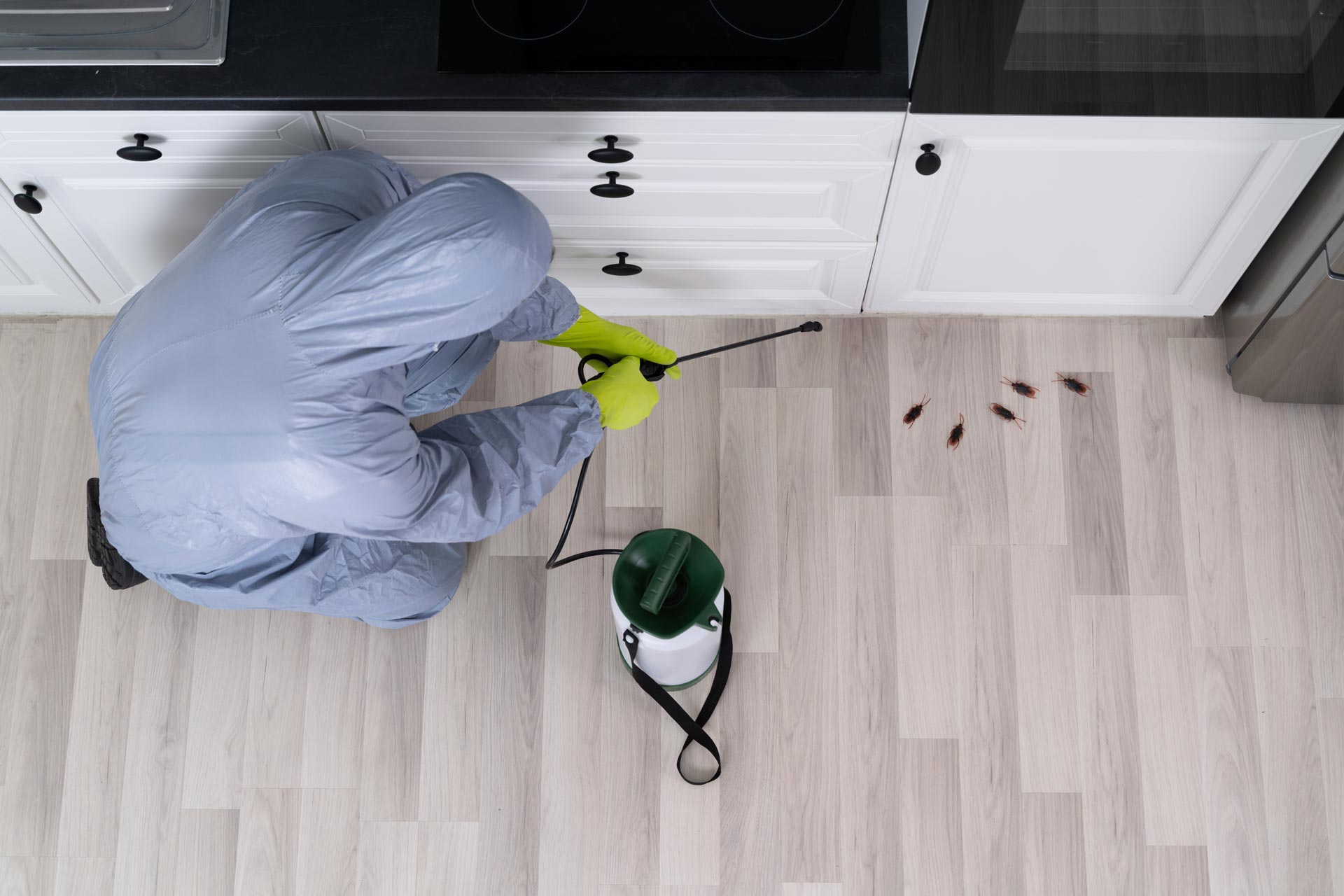 Exterminator In Uniform — Fort Smith, AR — Five Star Pest Control