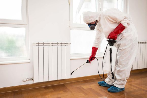 Pest Extermination — Fort Smith, AR — Five Star Pest Control