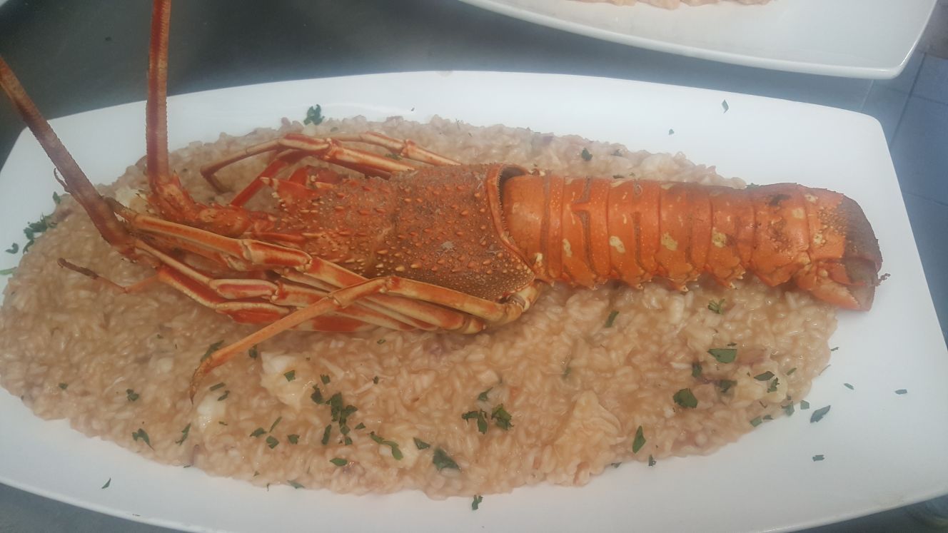 risotto con aragosta