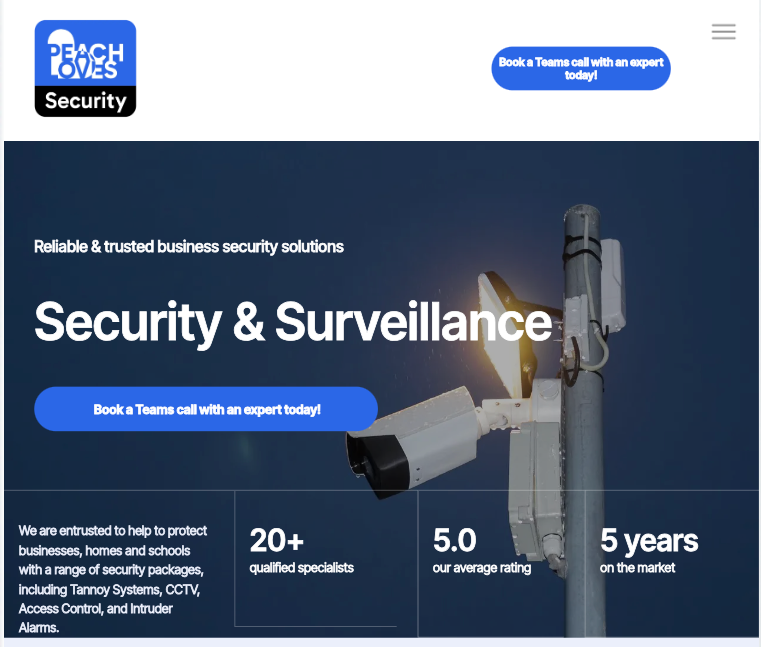 A security and surveillance website shows two cameras on a pole