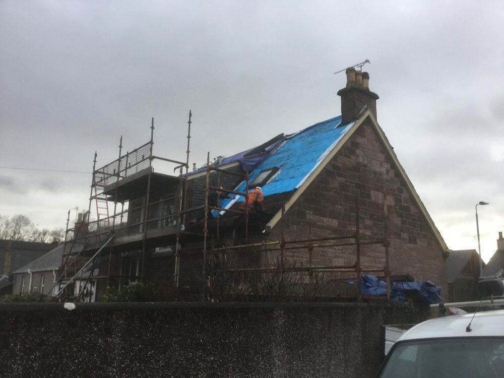 roof windows