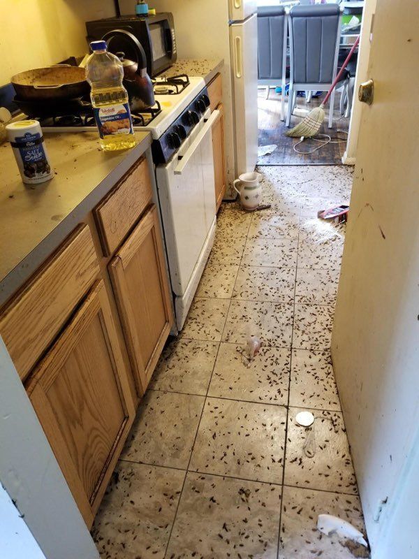 Bugs On The Floor - Atlantic County, NJ - Gold Shield Pest Control