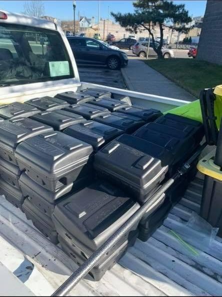 Black Gallons - Atlantic County, NJ - Gold Shield Pest  Control