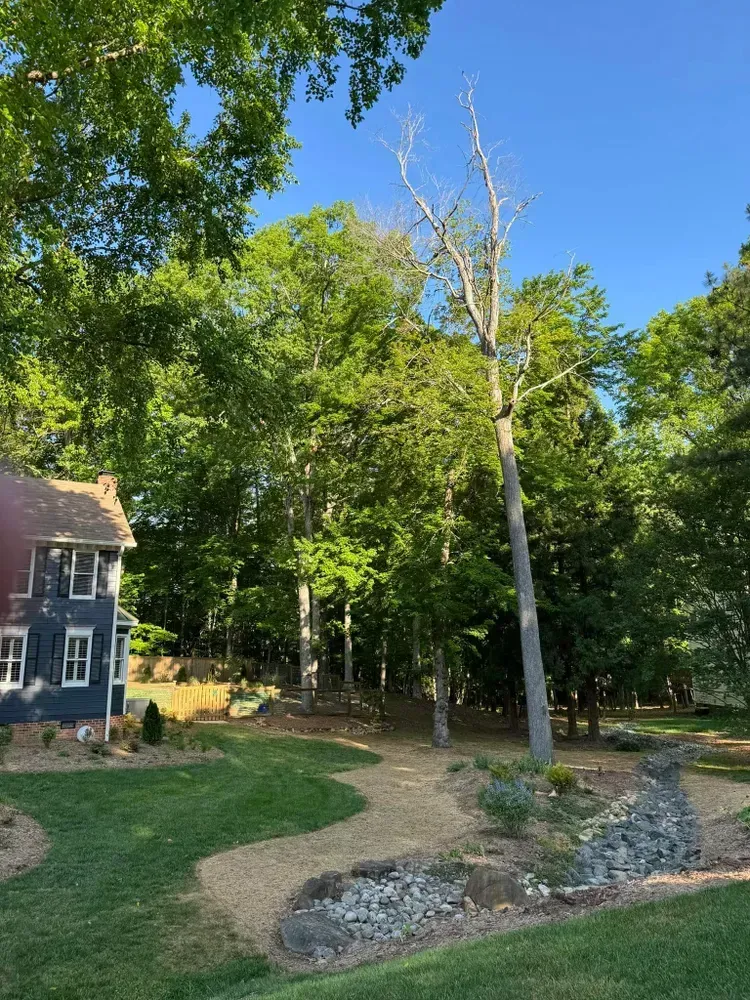A house is surrounded by trees and a path leading to it.