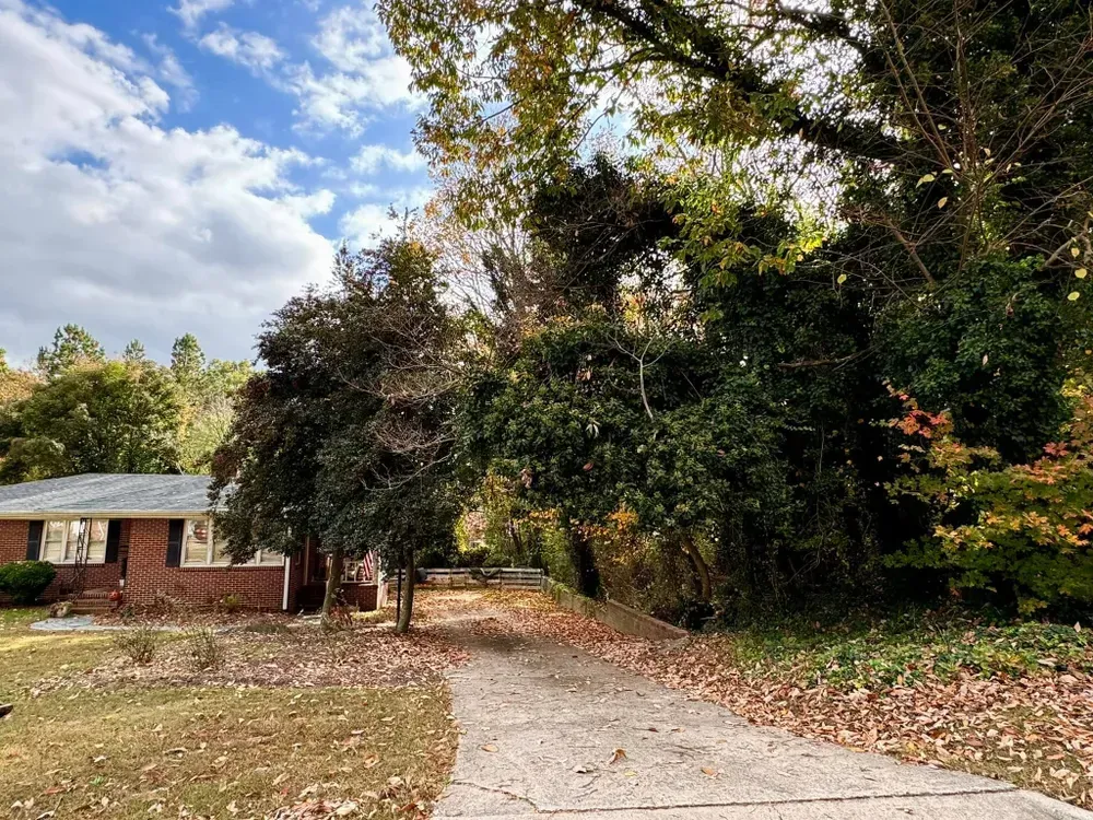 A driveway leading to a house surrounded by trees on a sunny day.