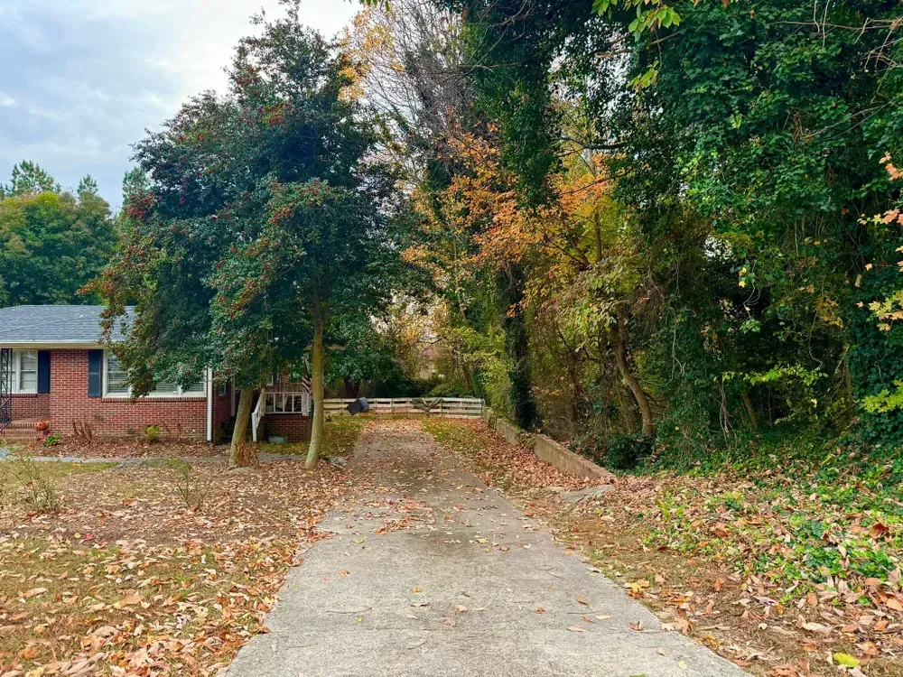 A driveway leading to a brick house surrounded by trees and leaves.