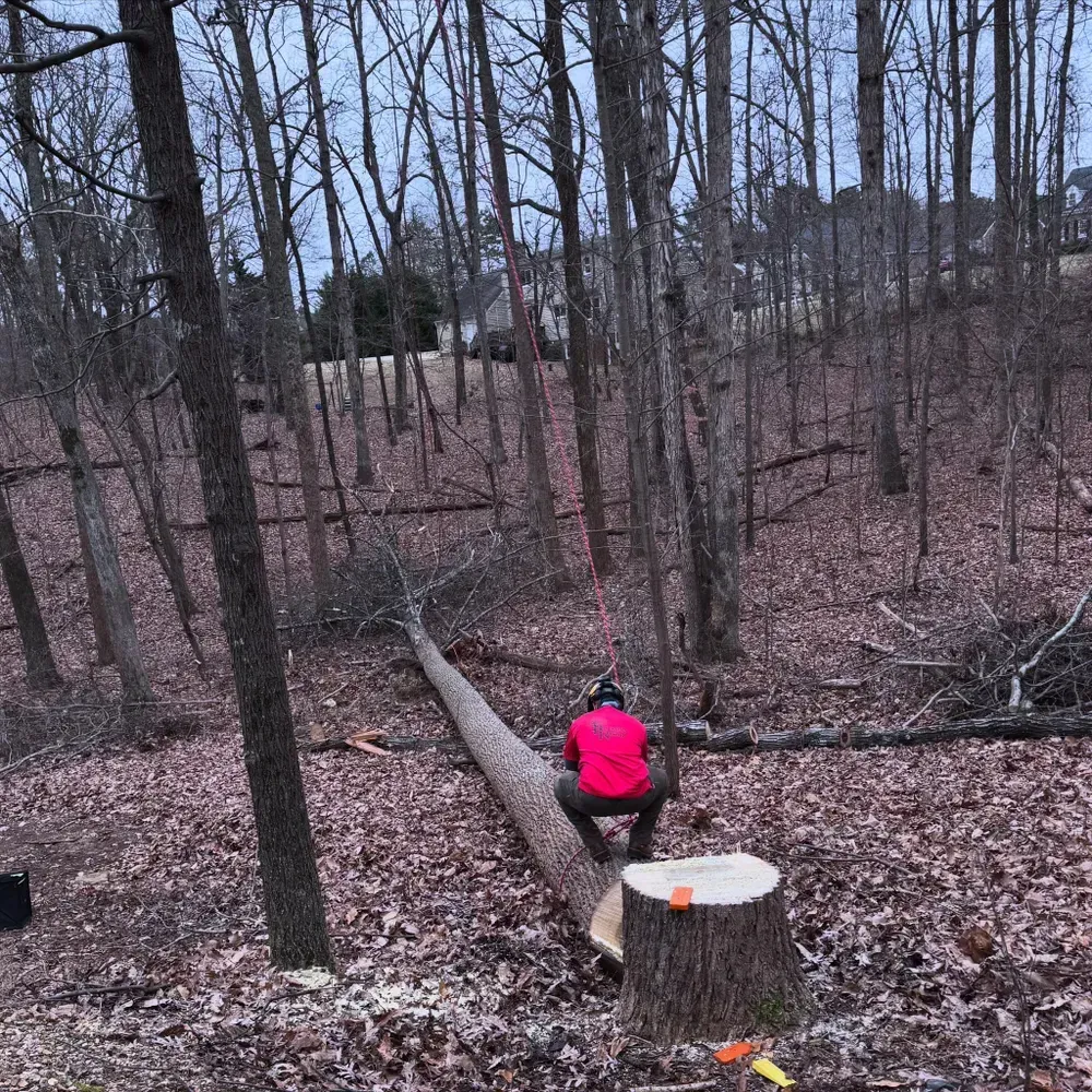 A man in a red shirt is kneeling on a tree stump in the woods.