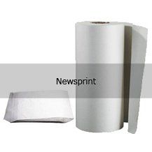A roll of paper towels and a paper plate on a white background.