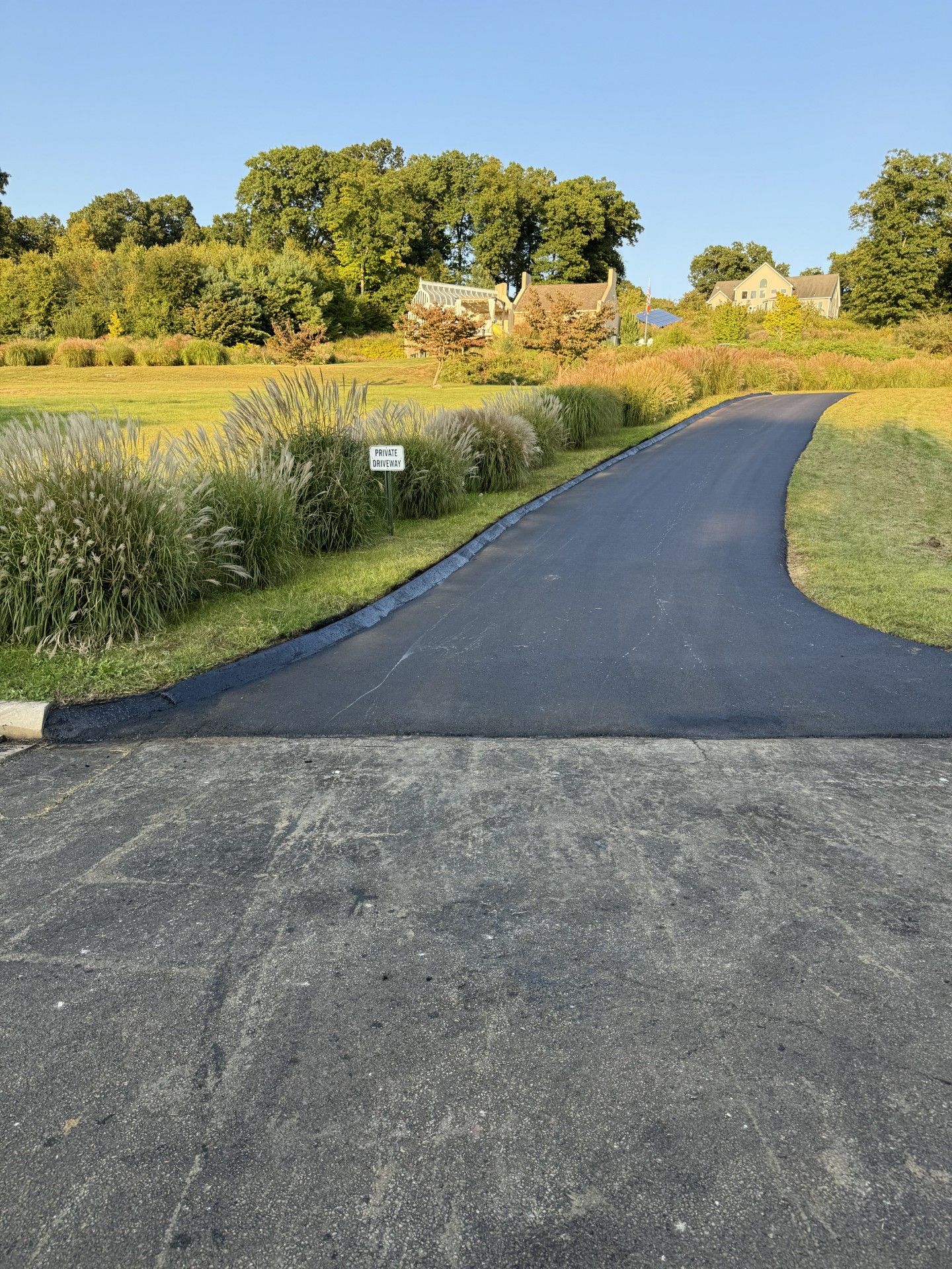 Paved driveway curves uphill, lined with tall grasses, towards houses on a sunny day.