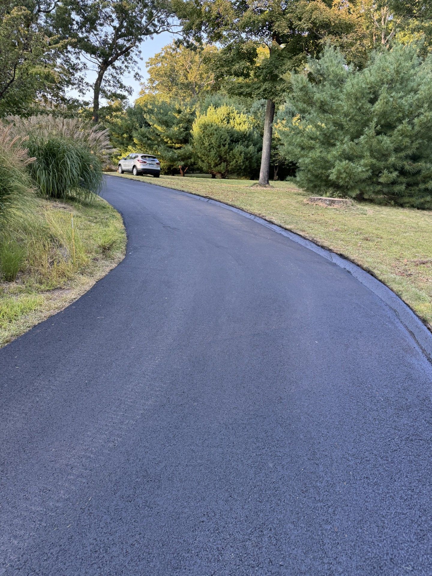 Black asphalt driveway curves toward a white car parked near trees and greenery.