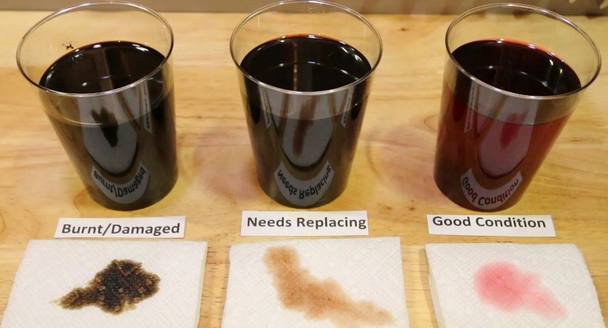 Transmission Fluid: The Blood Of Your Car’s Lifeline | Ric Henry Auto Service