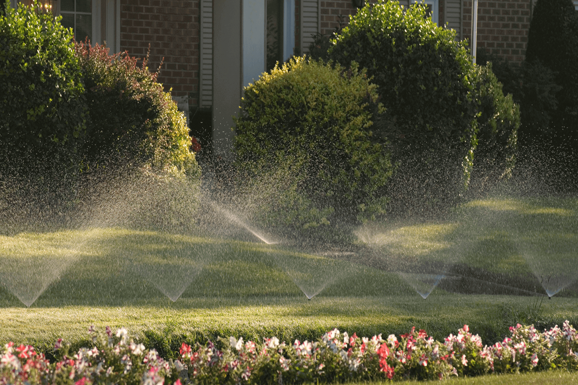 A sprinkler is spraying water on a lush green lawn in front of a house.
