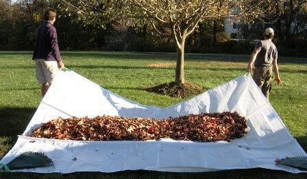 grass lawn tarp bag