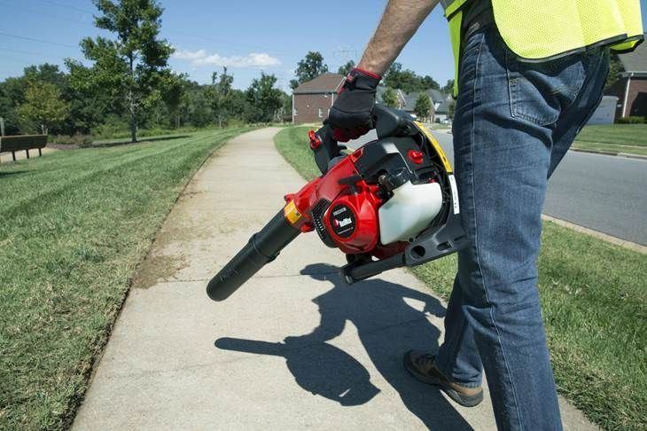 handheld leaf blower