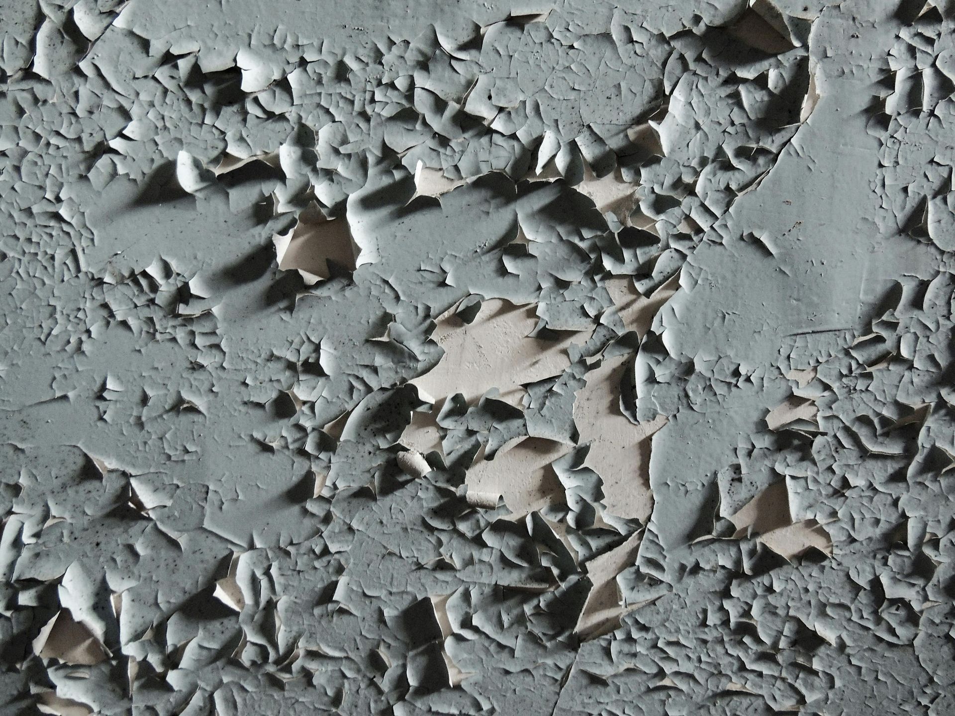 Flaking gray paint peeling from a wall, revealing lighter patches underneath