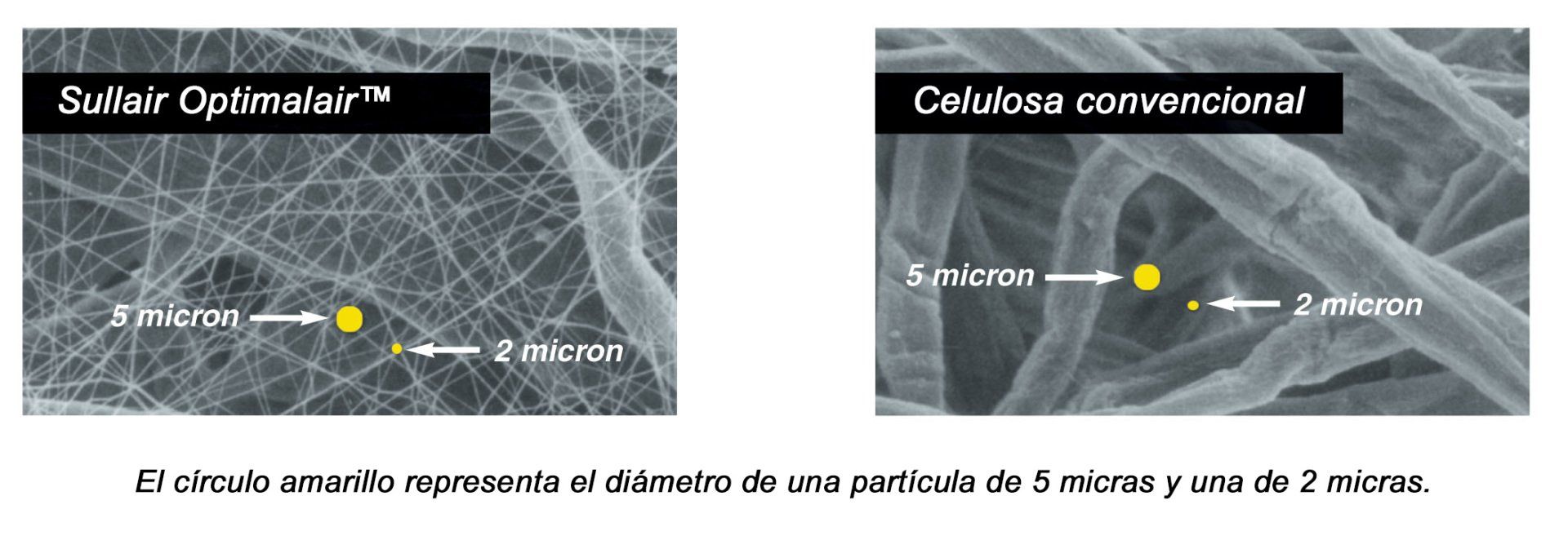 Una imagen de microscopio de azufre optimair y celulosa convencional.